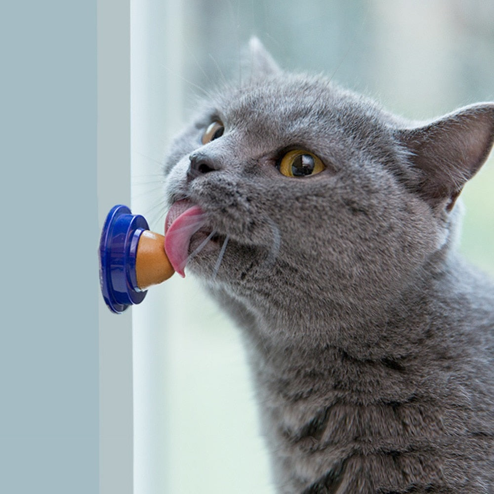 Cat Vitamin Candy Ball with Wall Mount (12g) by HitMyNeed