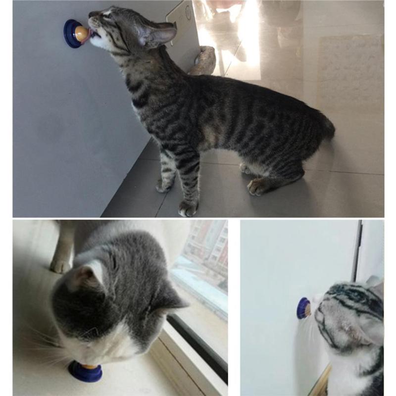 Cat Vitamin Candy Ball with Wall Mount (12g) by HitMyNeed