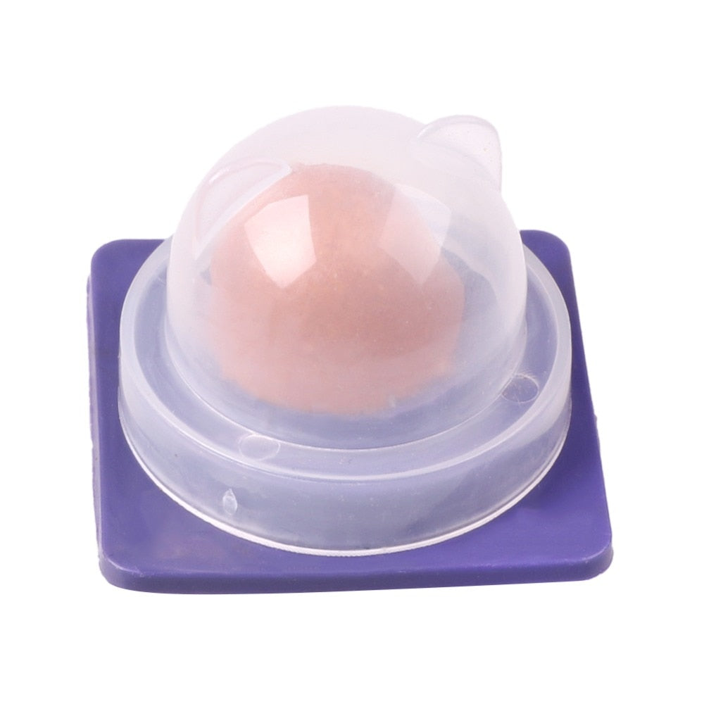 Cat Vitamin Candy Ball with Wall Mount (12g) by HitMyNeed