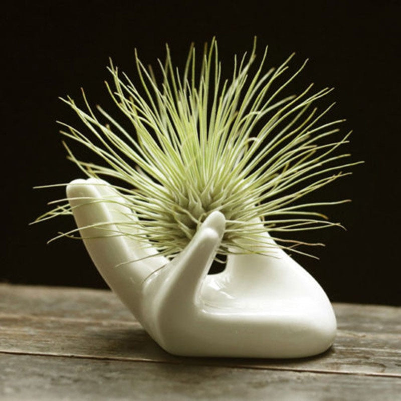 Ceramic Air Plant Holder Hand Design by HitMyNeed
