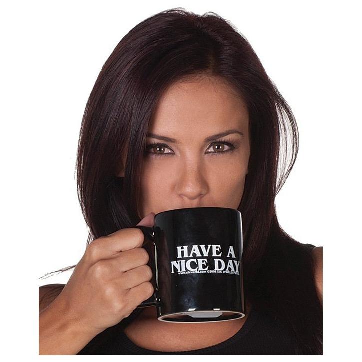 Ceramic Have a Nice Day Middle Finger Mug 300ml by HitMyNeed