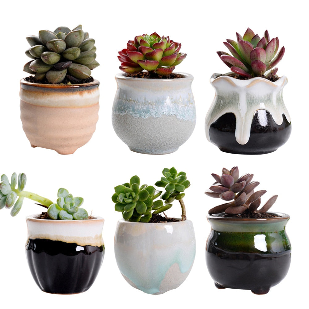 Ceramic Mini Plant Pots Set of 6 with Drainage Holes by HitMyNeed