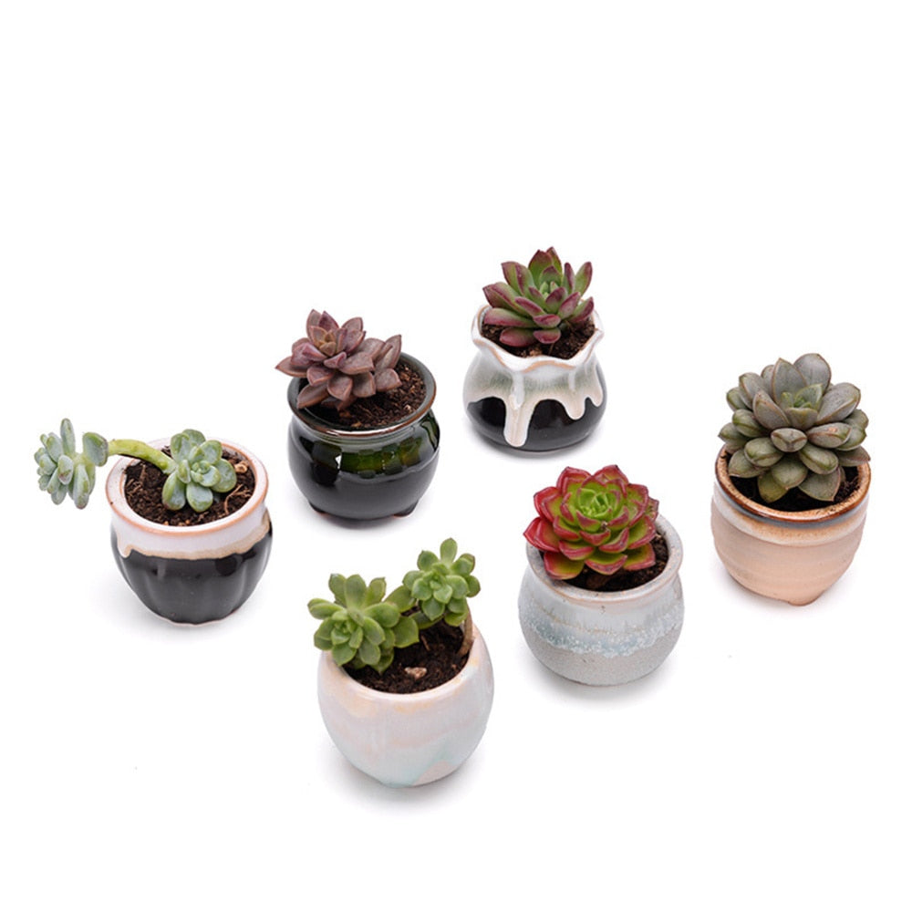 Ceramic Mini Plant Pots Set of 6 with Drainage Holes by HitMyNeed