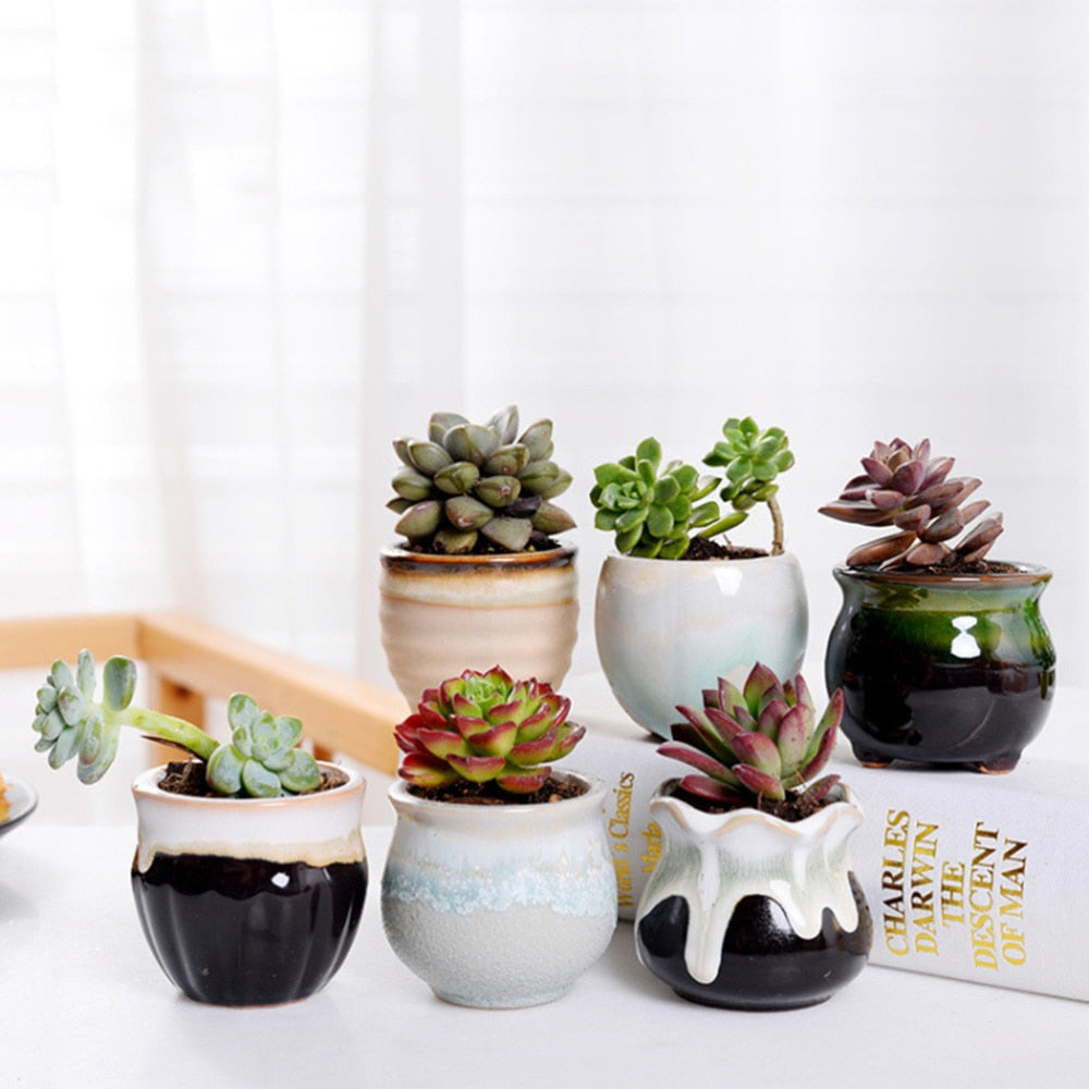 Ceramic Mini Plant Pots Set of 6 with Drainage Holes by HitMyNeed