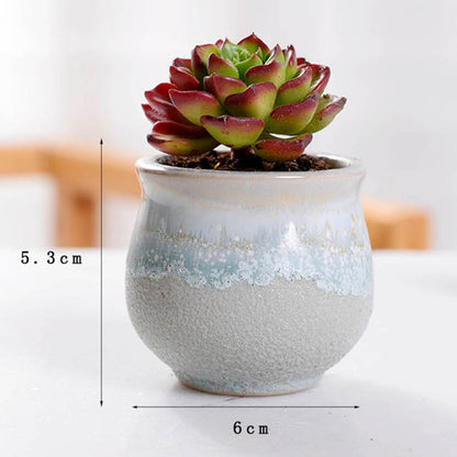 Ceramic Mini Plant Pots Set of 6 with Drainage Holes by HitMyNeed