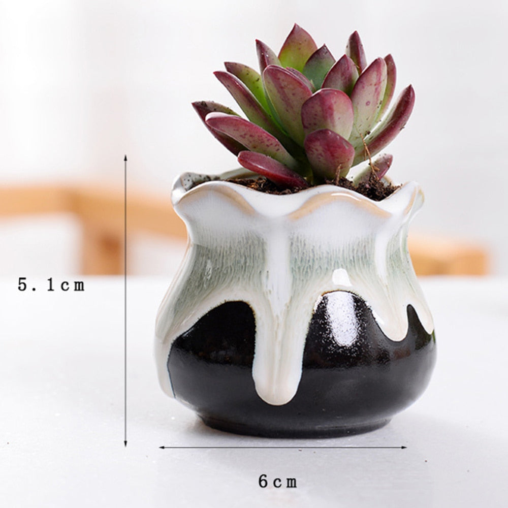 Ceramic Mini Plant Pots Set of 6 with Drainage Holes by HitMyNeed