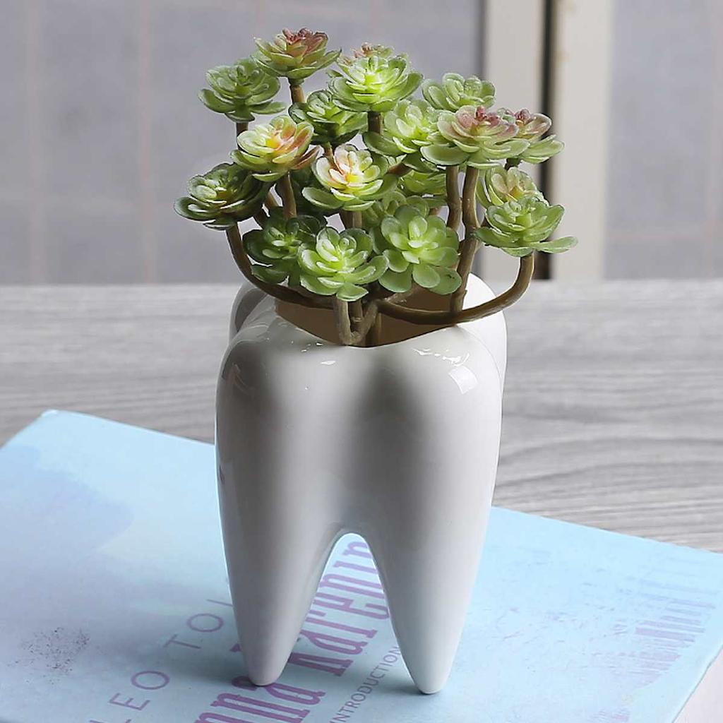 Ceramic Mini Tooth Planter for Succulents by HitMyNeed