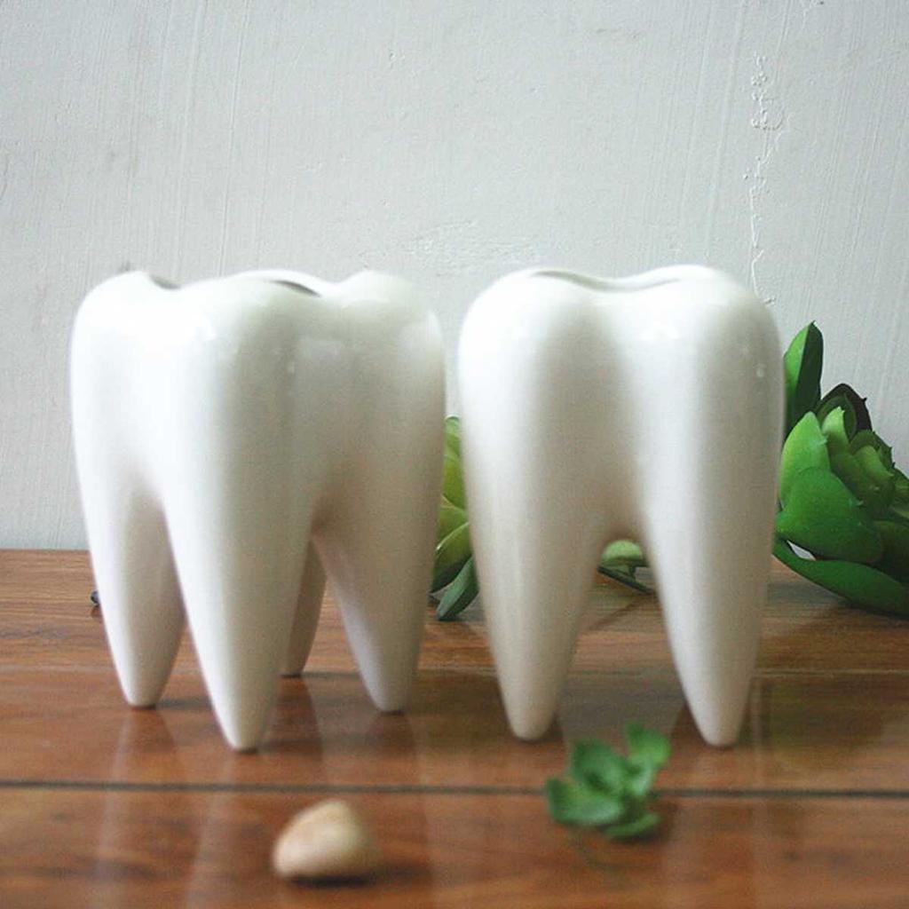 Ceramic Mini Tooth Planter for Succulents by HitMyNeed