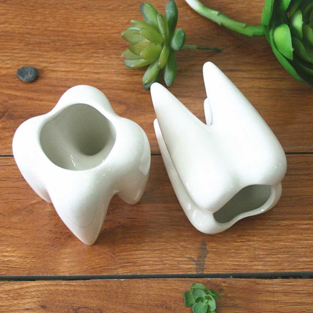 Ceramic Mini Tooth Planter for Succulents by HitMyNeed