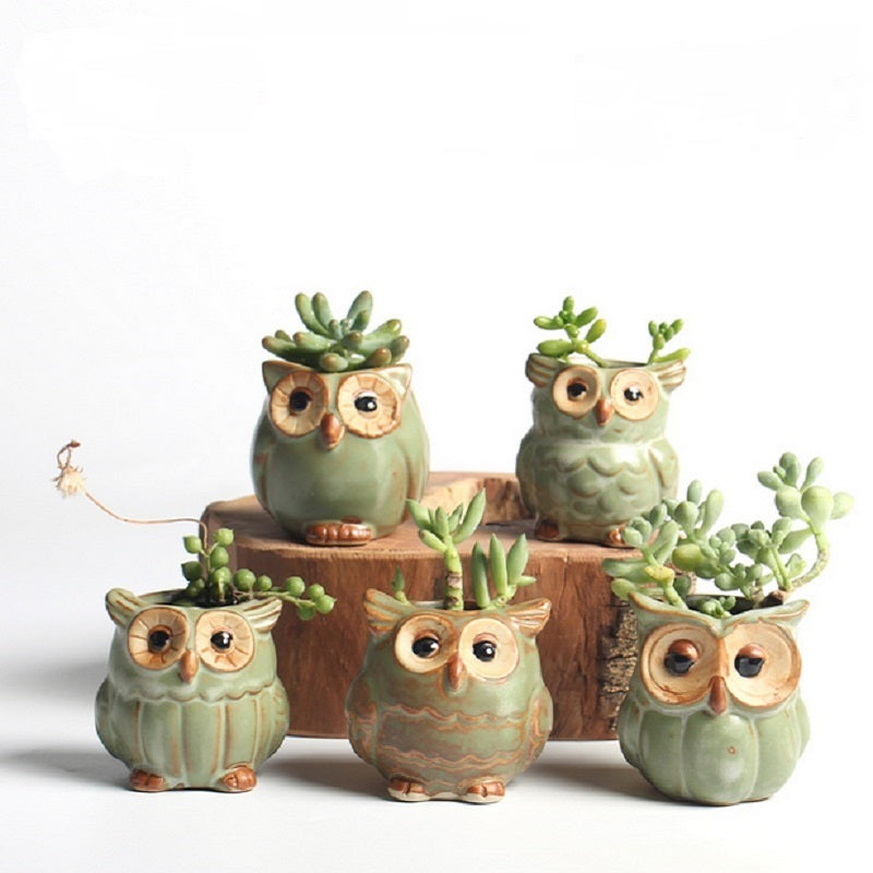 Ceramic Owl Succulent Pots Set of 5 by HitMyNeed