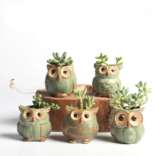 Ceramic Owl Succulent Pots Set of 5 by HitMyNeed