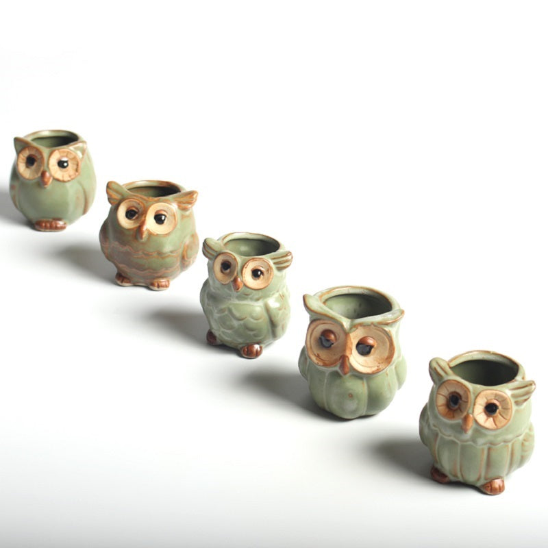Ceramic Owl Succulent Pots Set of 5 by HitMyNeed