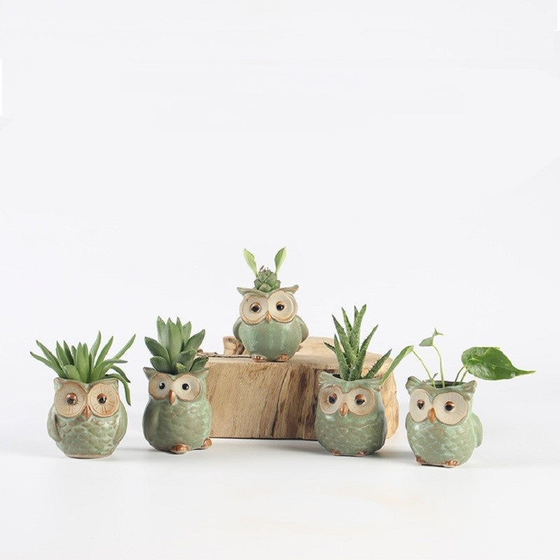 Ceramic Owl Succulent Pots Set of 5 by HitMyNeed