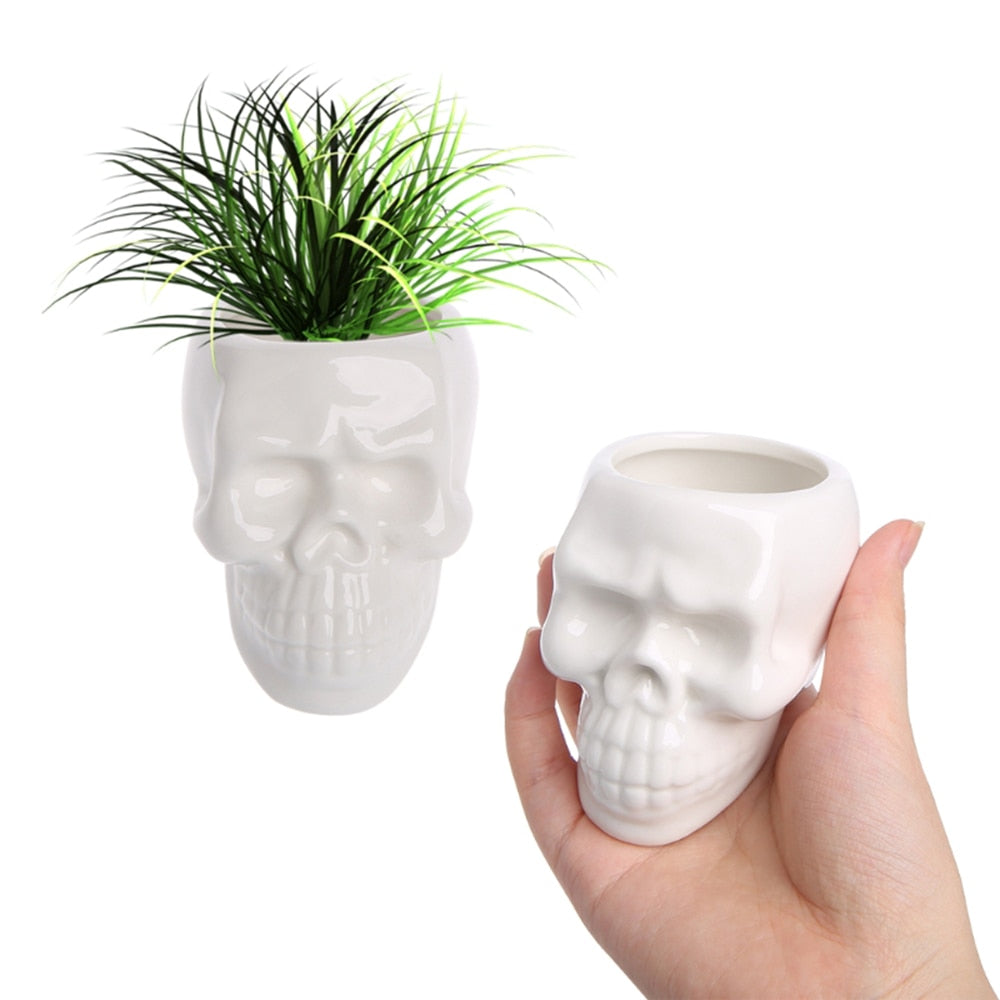 Ceramic Skull Plant Pot for Small Indoor Plants by HitMyNeed