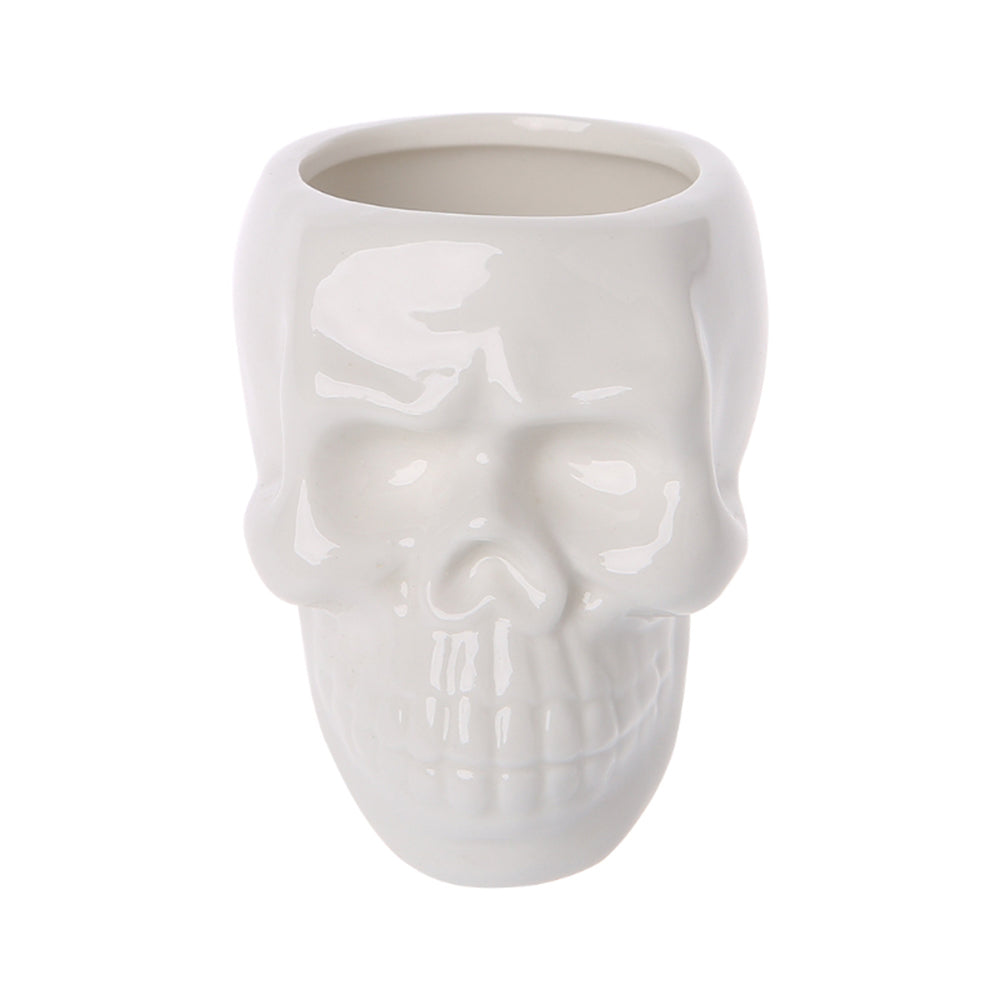 Ceramic Skull Plant Pot for Small Indoor Plants by HitMyNeed