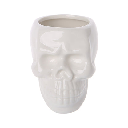 Ceramic Skull Plant Pot for Small Indoor Plants by HitMyNeed