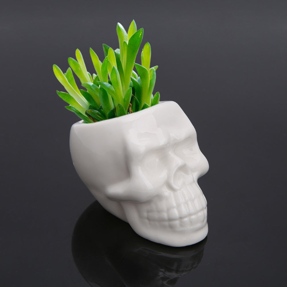 Ceramic Skull Plant Pot for Small Indoor Plants by HitMyNeed