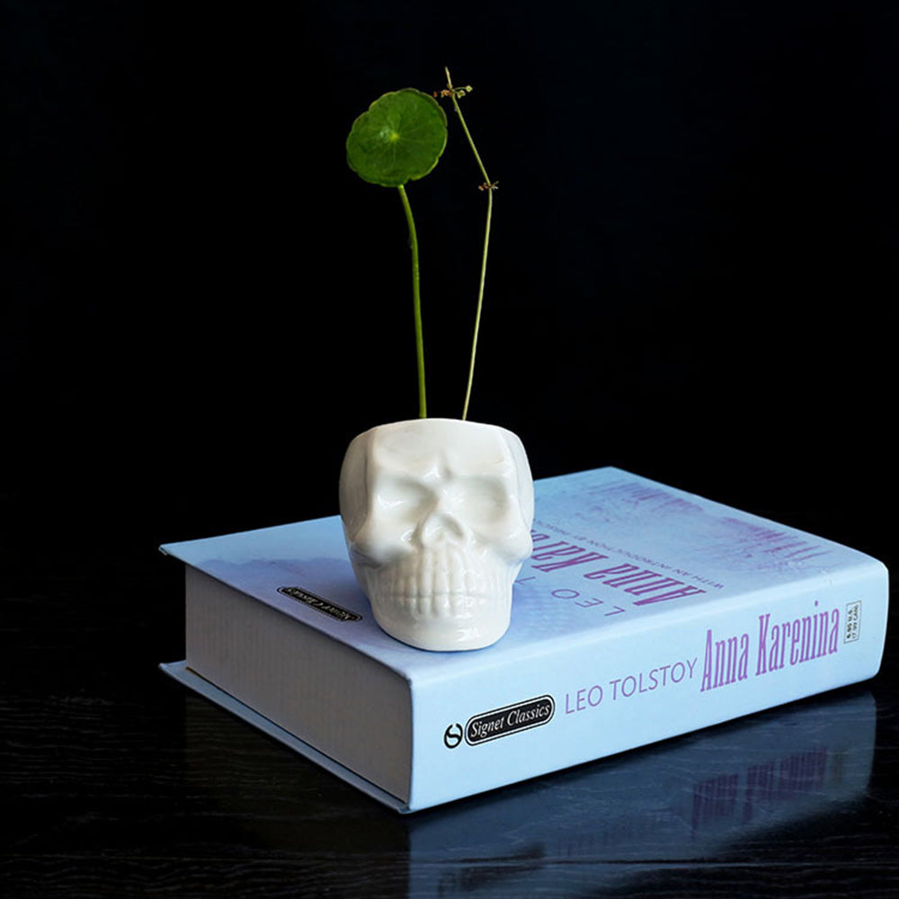 Ceramic Skull Plant Pot for Small Indoor Plants by HitMyNeed