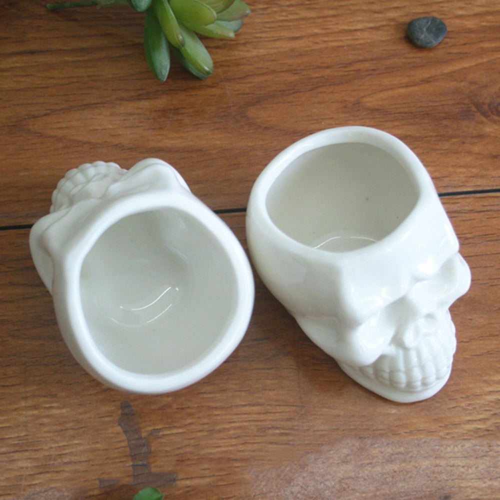 Ceramic Skull Plant Pot for Small Indoor Plants by HitMyNeed