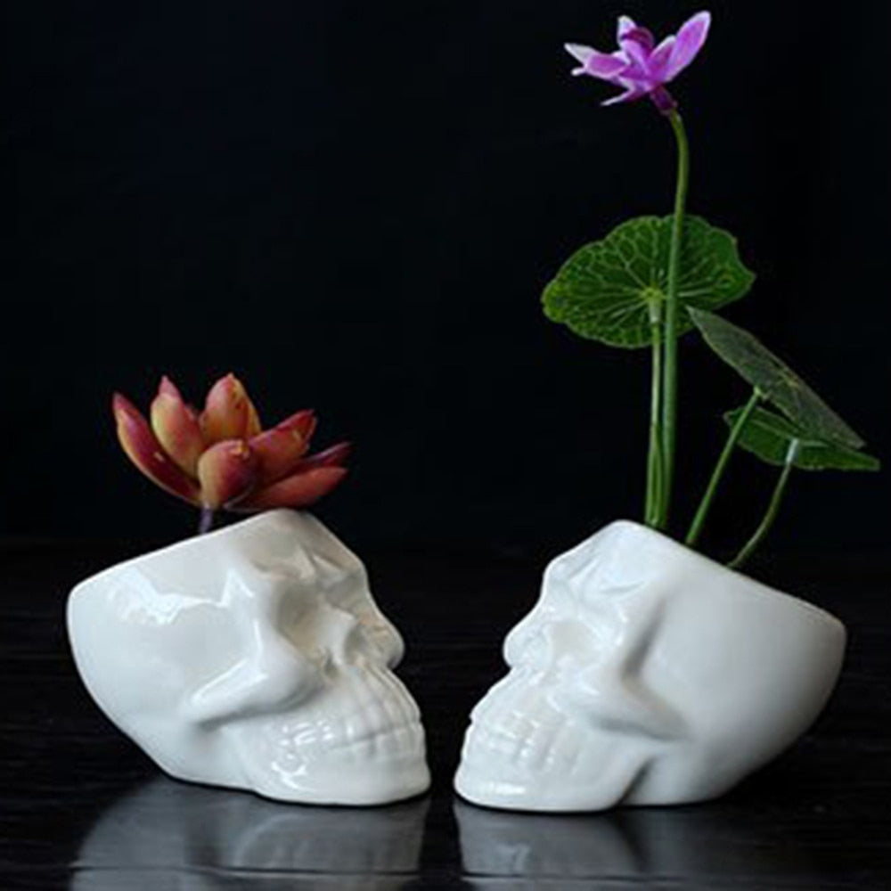 Ceramic Skull Plant Pot for Small Indoor Plants by HitMyNeed