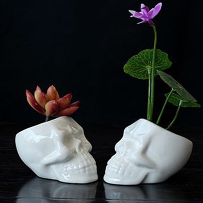 Ceramic Skull Plant Pot for Small Indoor Plants by HitMyNeed