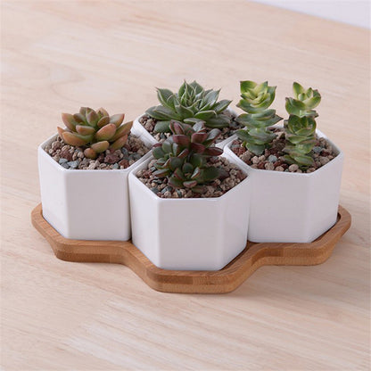 Ceramic Succulent Planter Set with Bamboo Tray (4pcs) by HitMyNeed