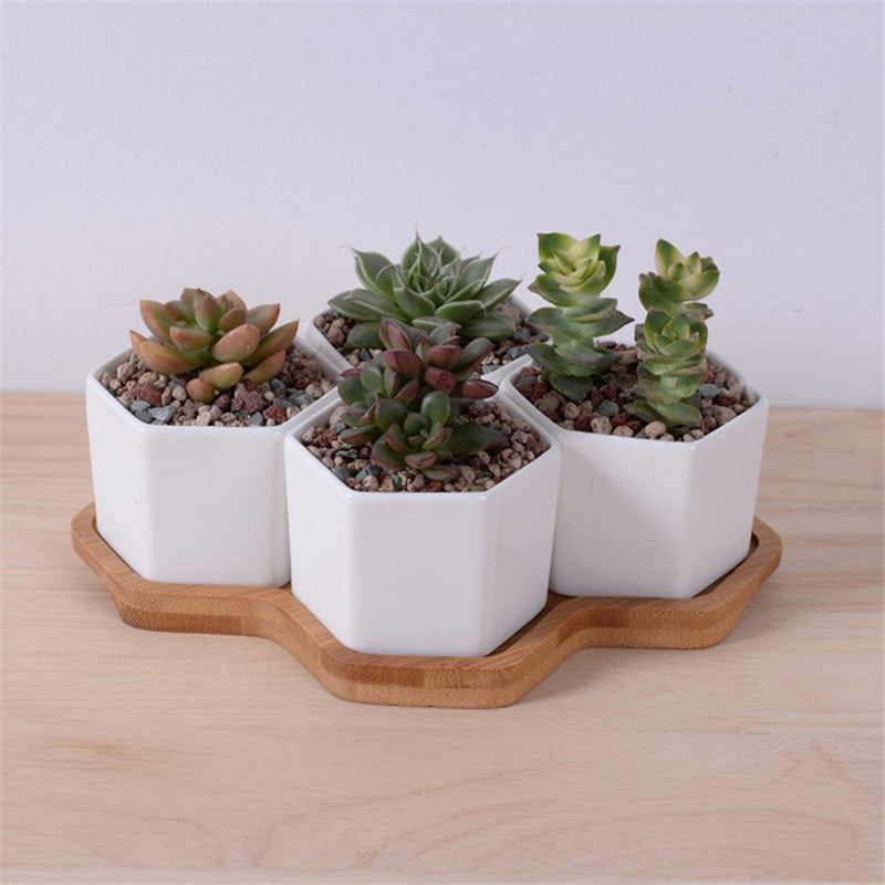 Ceramic Succulent Planter Set with Bamboo Tray (4pcs) by HitMyNeed