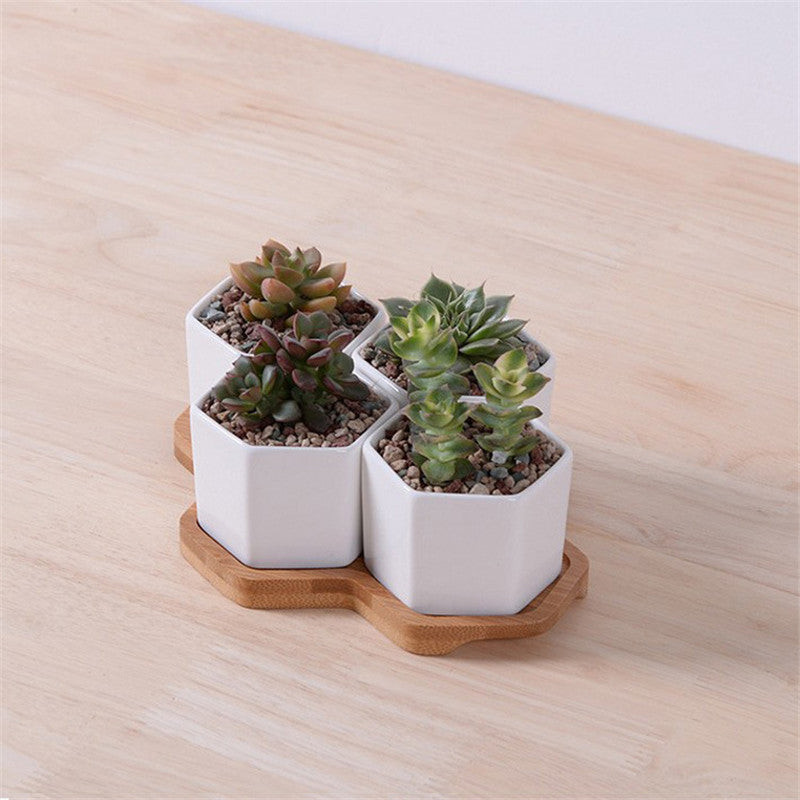 Ceramic Succulent Planter Set with Bamboo Tray (4pcs) by HitMyNeed