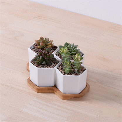 Ceramic Succulent Planter Set with Bamboo Tray (4pcs) by HitMyNeed