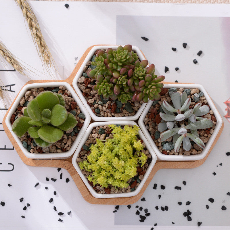 Ceramic Succulent Planter Set with Bamboo Tray (4pcs) by HitMyNeed