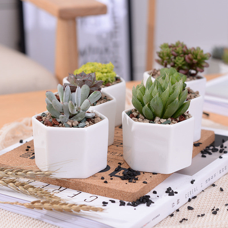Ceramic Succulent Planter Set with Bamboo Tray (4pcs) by HitMyNeed