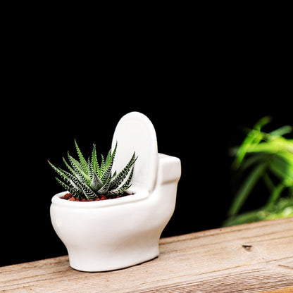 Ceramic Toilet Flower Pot Planter for Succulents by HitMyNeed