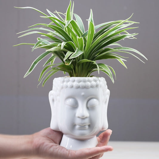 Ceramic White Buddha Head Planter by HitMyNeed