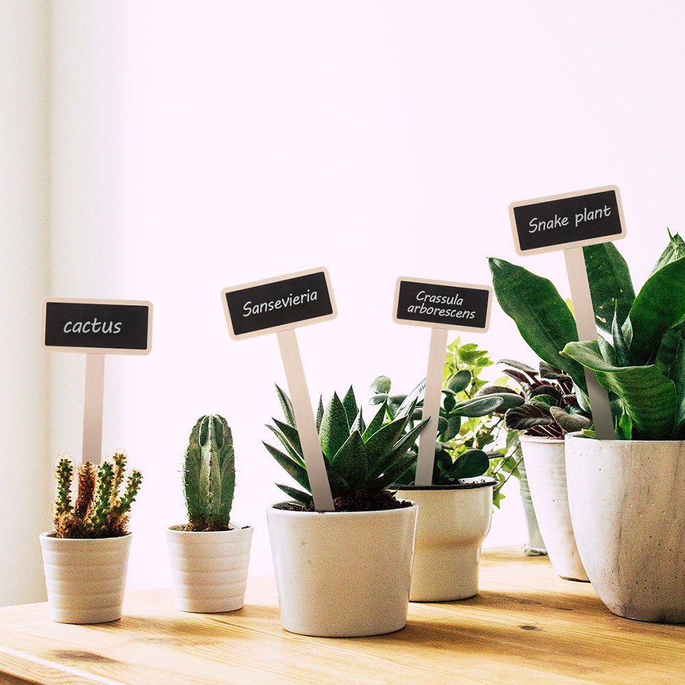 Chalkboard Wooden Garden Markers, Set of 10 by HitMyNeed