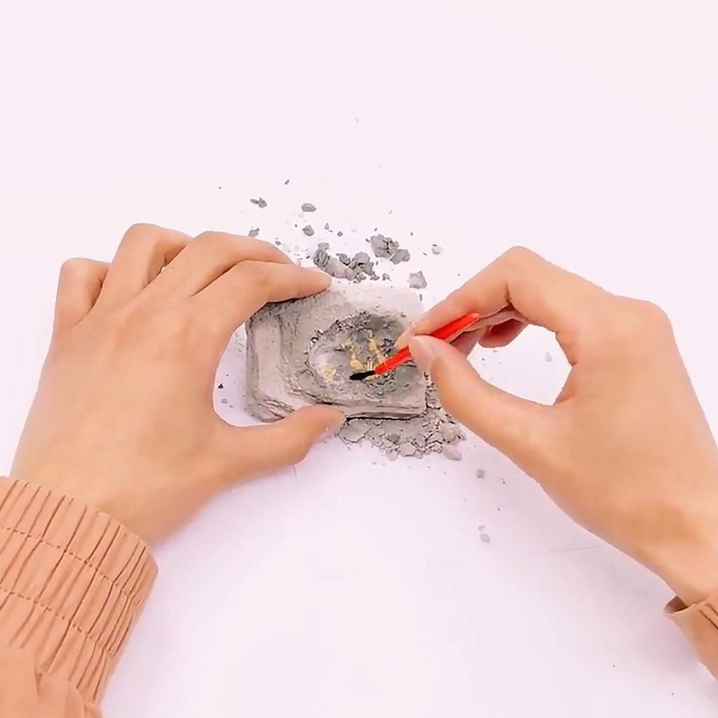 Children's Excavation Kit Educational DIY Toy by HitMyNeed