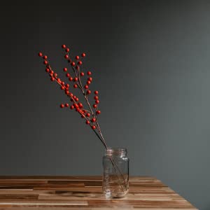 Christmas Artificial Red Berry Stems (12 Pack) by HitMyNeed