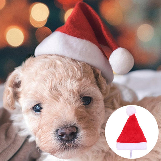 Christmas Santa Hat for Dogs with Adjustable Strap by HitMyNeed
