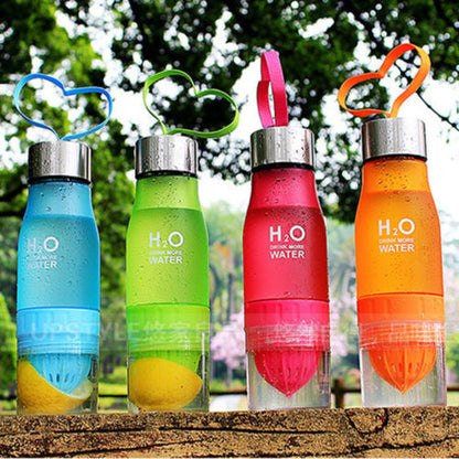 Citrus Fruit Infuser Water Bottle 650ml by HitMyNeed