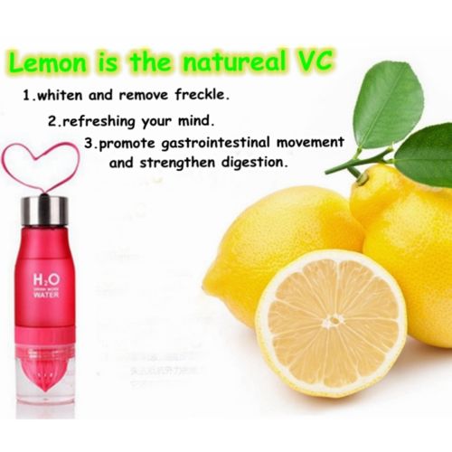 Citrus Fruit Infuser Water Bottle 650ml by HitMyNeed