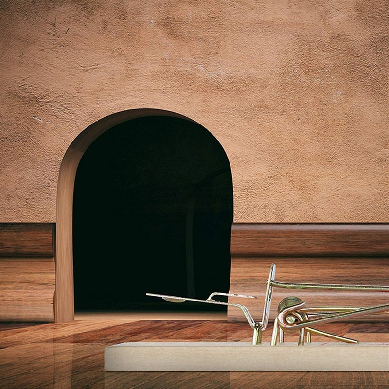 Classic Reusable Wooden Mouse Trap by HitMyNeed