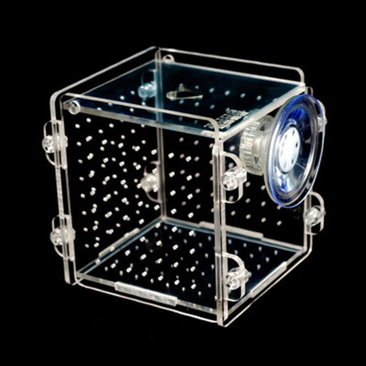 Clear Acrylic Aquarium Isolation and Breeding Box by HitMyNeed