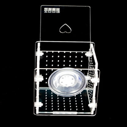 Clear Acrylic Aquarium Isolation and Breeding Box by HitMyNeed
