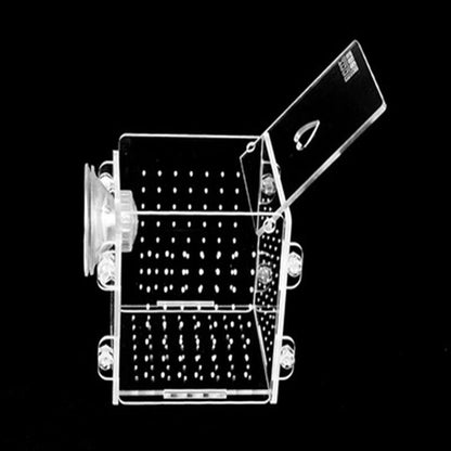 Clear Acrylic Aquarium Isolation and Breeding Box by HitMyNeed