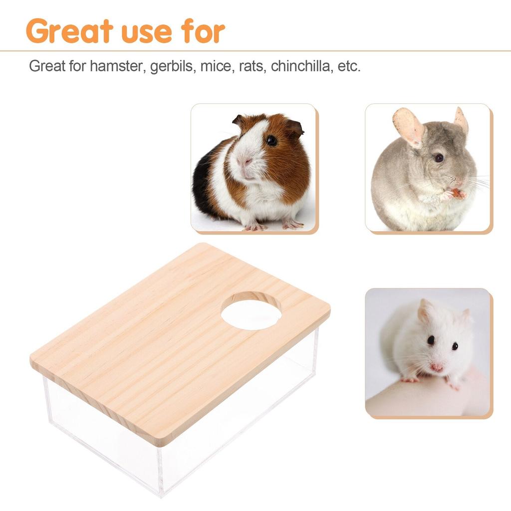 Clear Acrylic Hamster Sand Bath Box with Lid by HitMyNeed