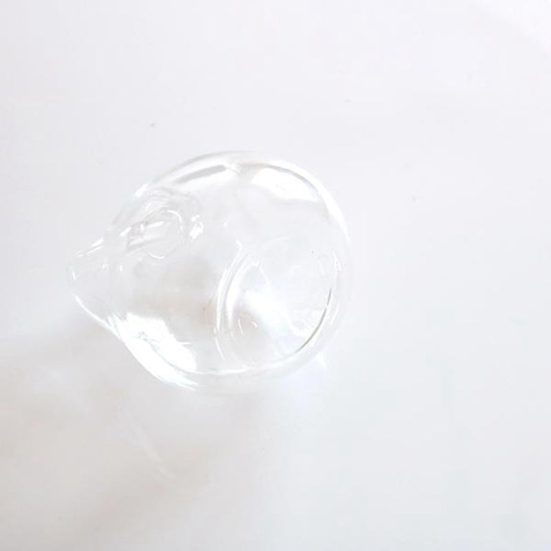 Clear Glass Cat Flower Vase for Small Arrangements by HitMyNeed