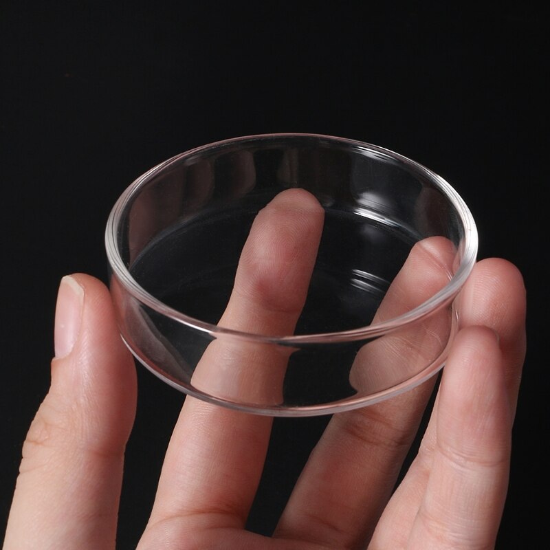 Clear Glass Shrimp Feeder Dish for Aquariums by HitMyNeed