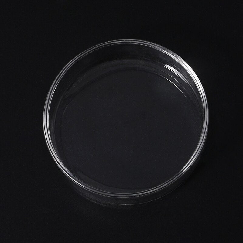 Clear Glass Shrimp Feeder Dish for Aquariums by HitMyNeed