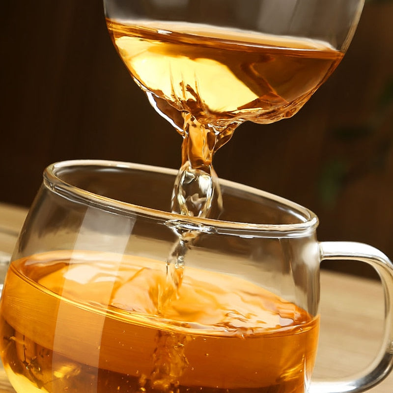 Clear Glass Tea Infuser Mug Set 350ml by HitMyNeed