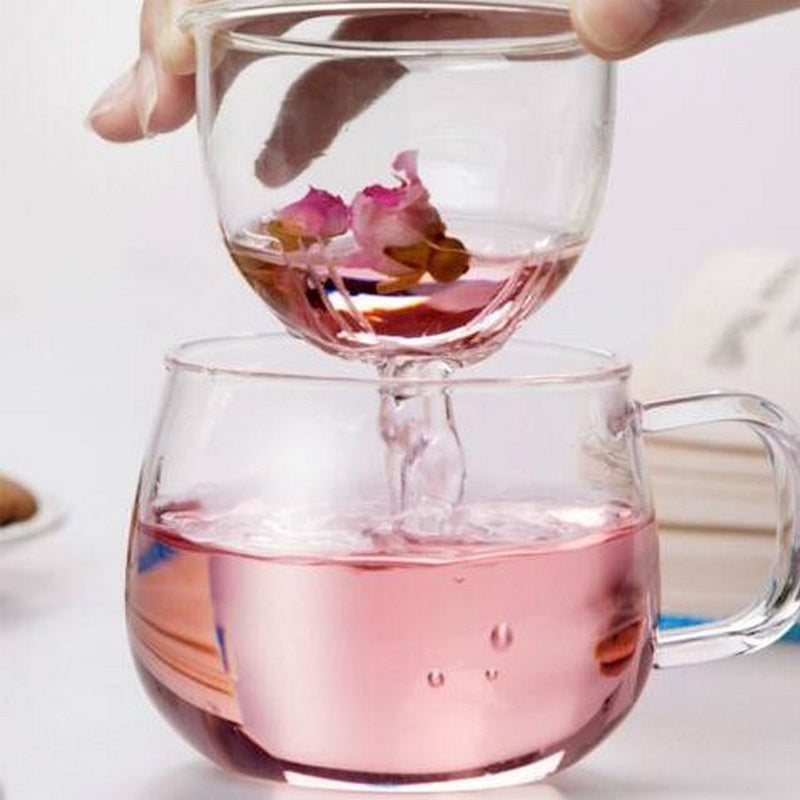 Clear Glass Tea Infuser Mug Set 350ml by HitMyNeed