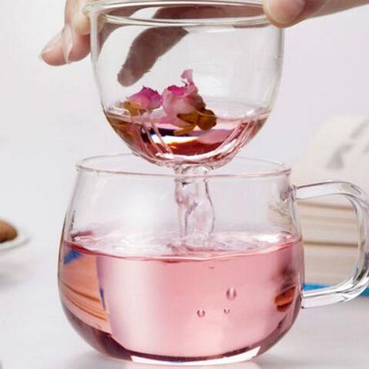 Clear Glass Tea Infuser Mug Set 350ml by HitMyNeed